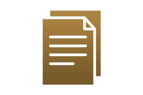 report-icon